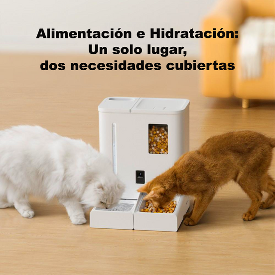 Dos gatos comiendo y bebiendo del alimentador inteligente con cámara color blanco